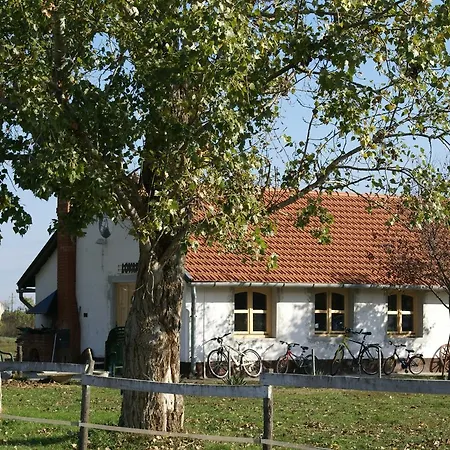 Bed & Breakfast Pejko Lovas Panzio