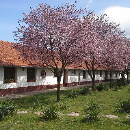 Bed & Breakfast Pejko Lovas Panzio
