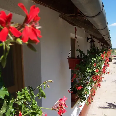 Pejko Lovas Panzio Bed & Breakfast *